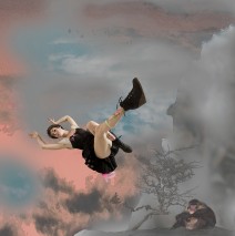 Fukushima 2  Photocomposition 50X50cm