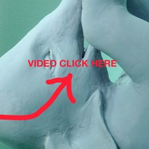 Premier Matin du Monde Video à partir de sculpture