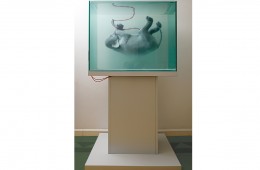Premier matin du monde Sculpture 172cmX96cmX71cm